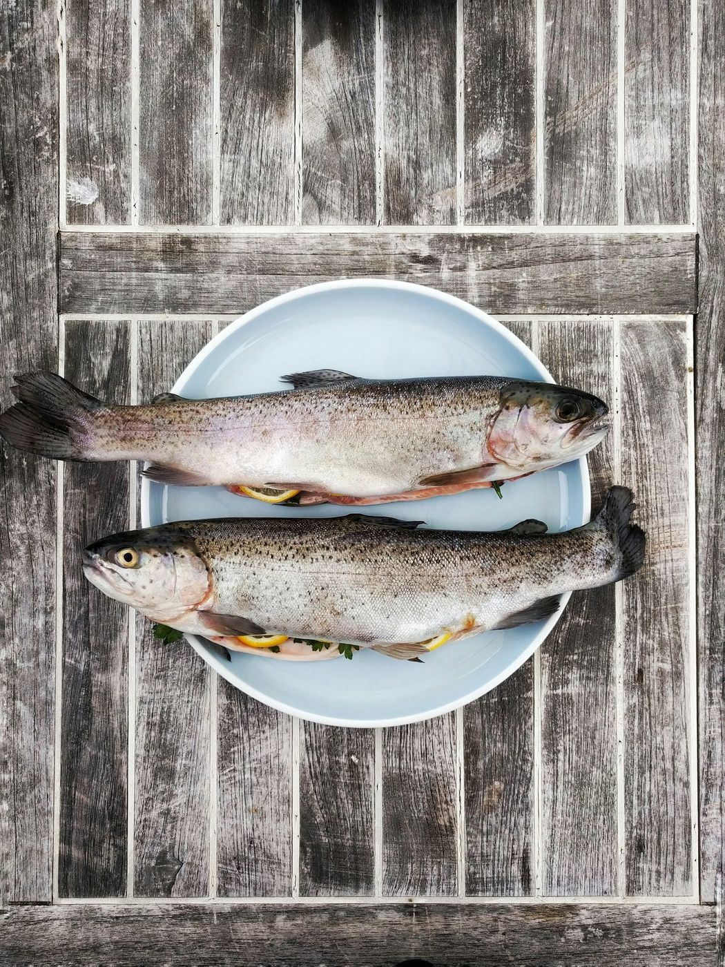 To ferske fisk på hvit tallerken